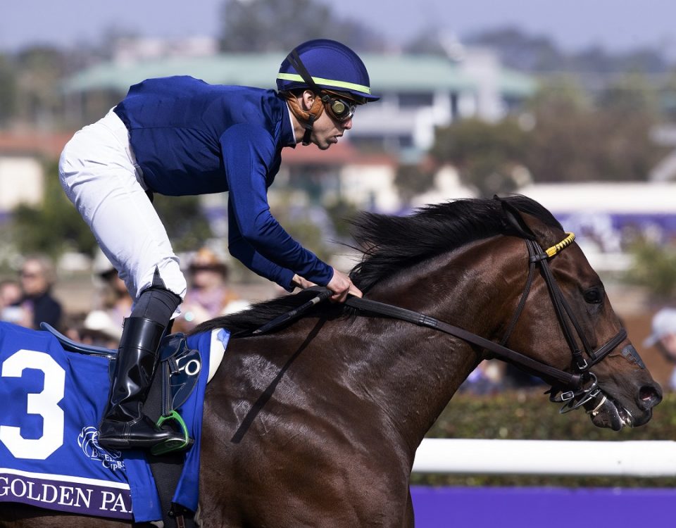 Golden Pal - Breeders' Cup Turf Sprint - Barbara D. Livingston