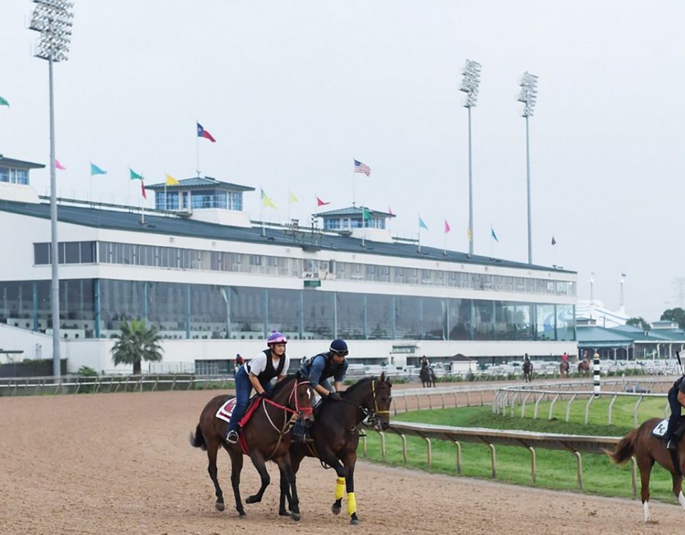 Sam Houston Race Park - Coady Photography