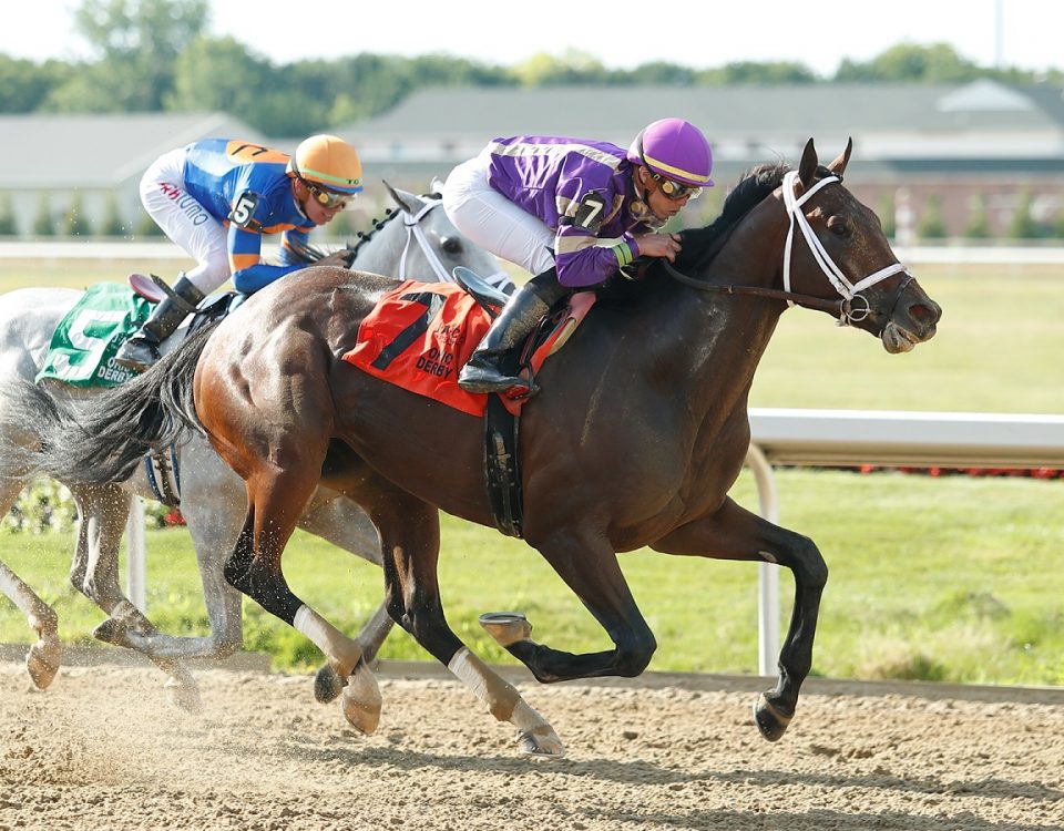 Tawny Port - Ohio Derby - Jeffrey J Zamaiko