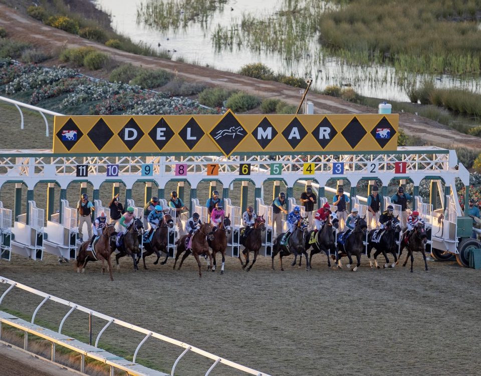 Del Mar action - Barbara D. Livingston