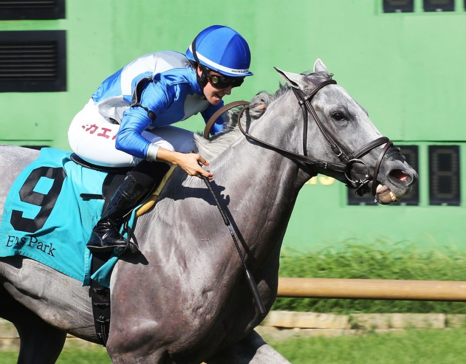 Gray's Fable - Evan Williams Turf Mile - Coady Photography