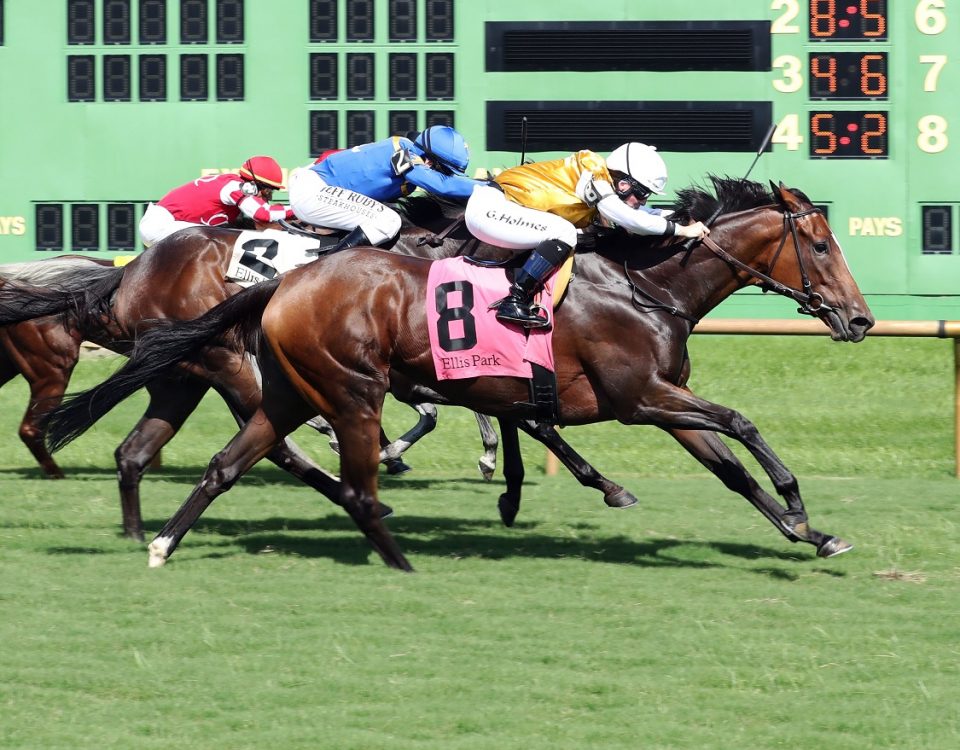 Henrietta Topham - Distaff Turf Mile - Coady Photography