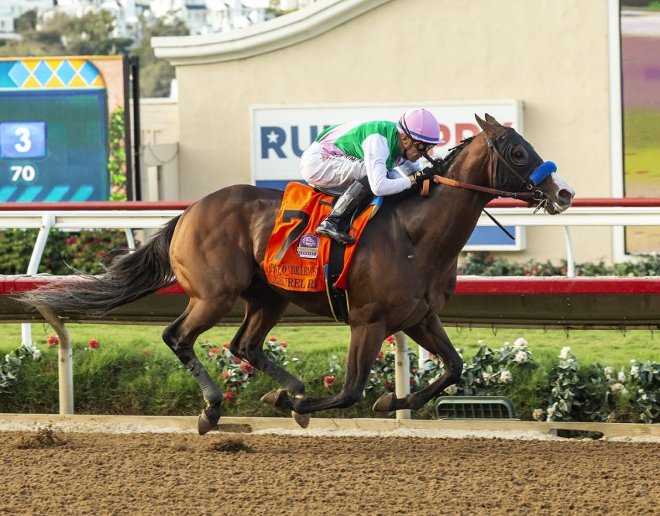 Laurel River - Pat O'Brien S. - Benoit Photo