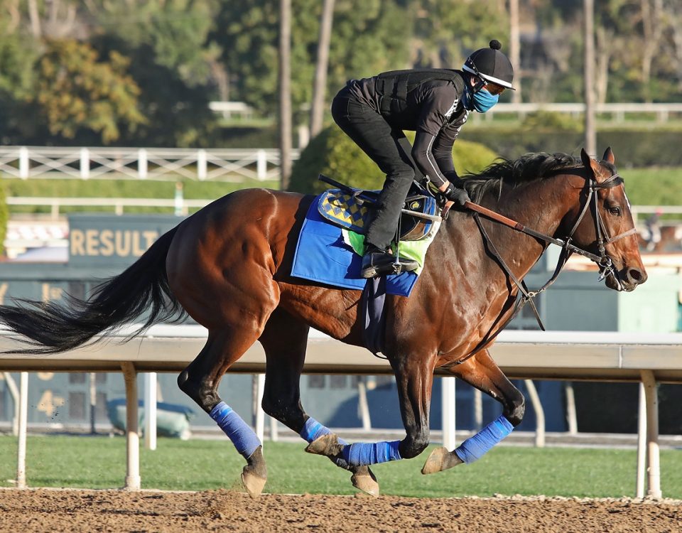 Country Grammer - Santa Anita - Emily Shields