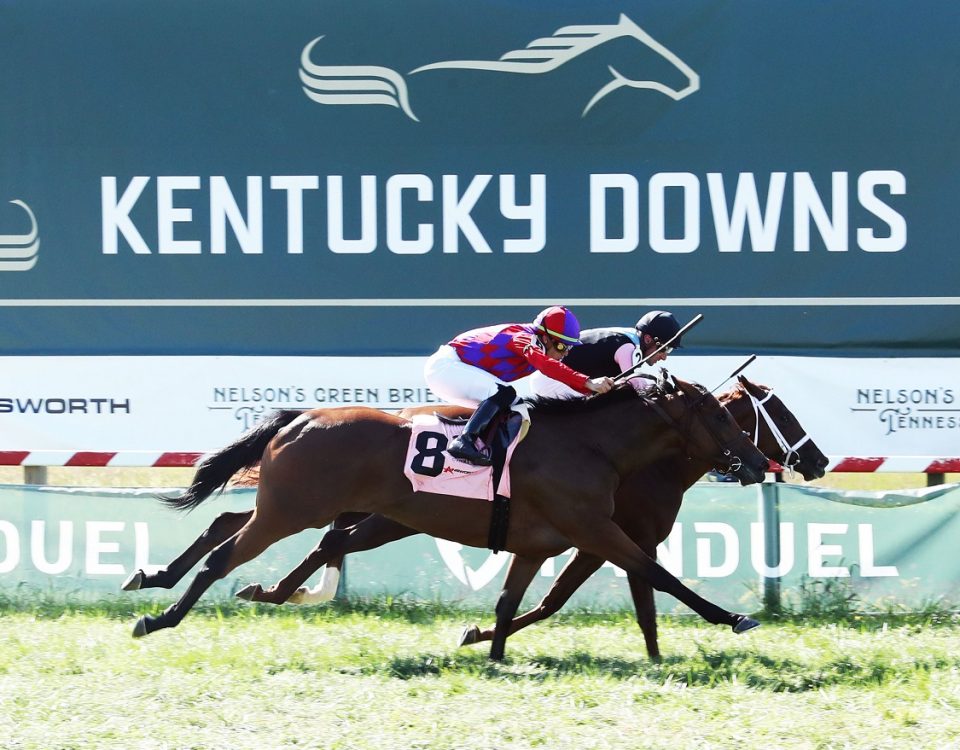 Danse Macabre - Untapable S. - Coady Photography