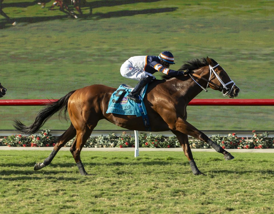 Lieutenant Dan - Green Flash H. - Benoit Photo