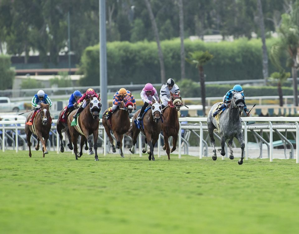 Santa Anita Park - Action - Benoit Photo