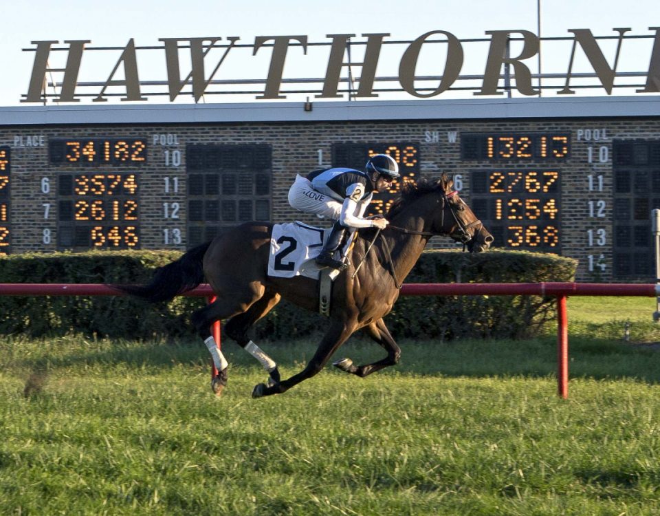 Speaking Scout - Hawthorne Derby - Four Footed Photos