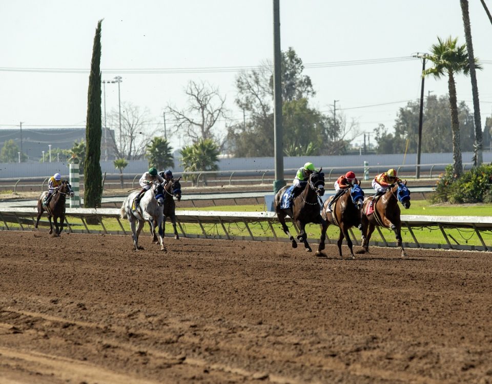 Los Alamitos - Action - Benoit Photo