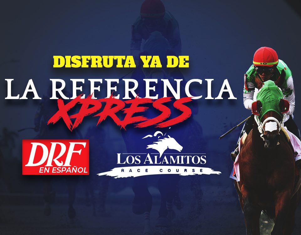 Los Alamitos La Referencia Xpress