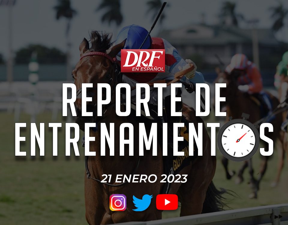 Reporte de Entrenamientos - Enero 21