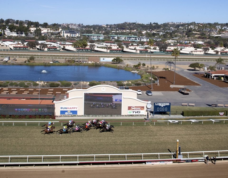 Del Mar - Scenic - Barbara D. Livingston