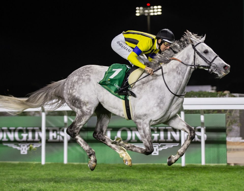 Silver Sonic - Longines Red Sea Turf H. - Erika Rasmussen-JCSA