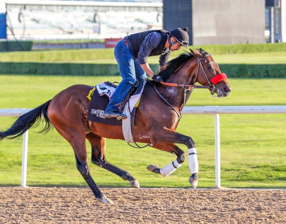 Ah Jeez - Meydan - Dubai Racing Club