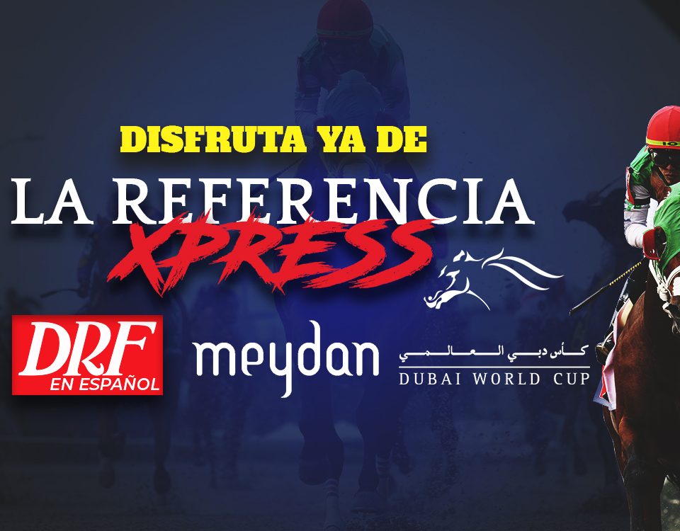 DWC La Referencia Xpress