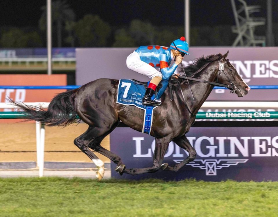 Equinox - Dubai Sheema Classic - Dubai Racing Club