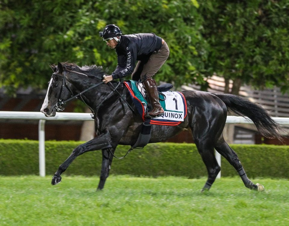 Equinox - Meydan - Cedric Lane-Dubai Racing Club