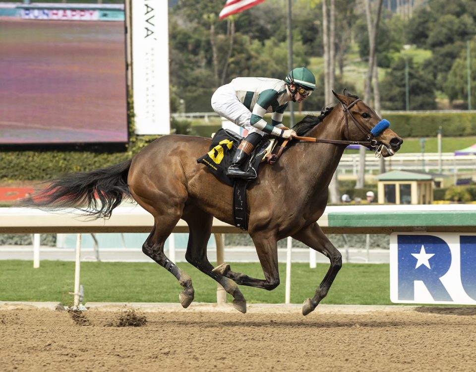 Faiza - Santa Ysabel G3 - Foto Benoit Photo - Santa Anita Park