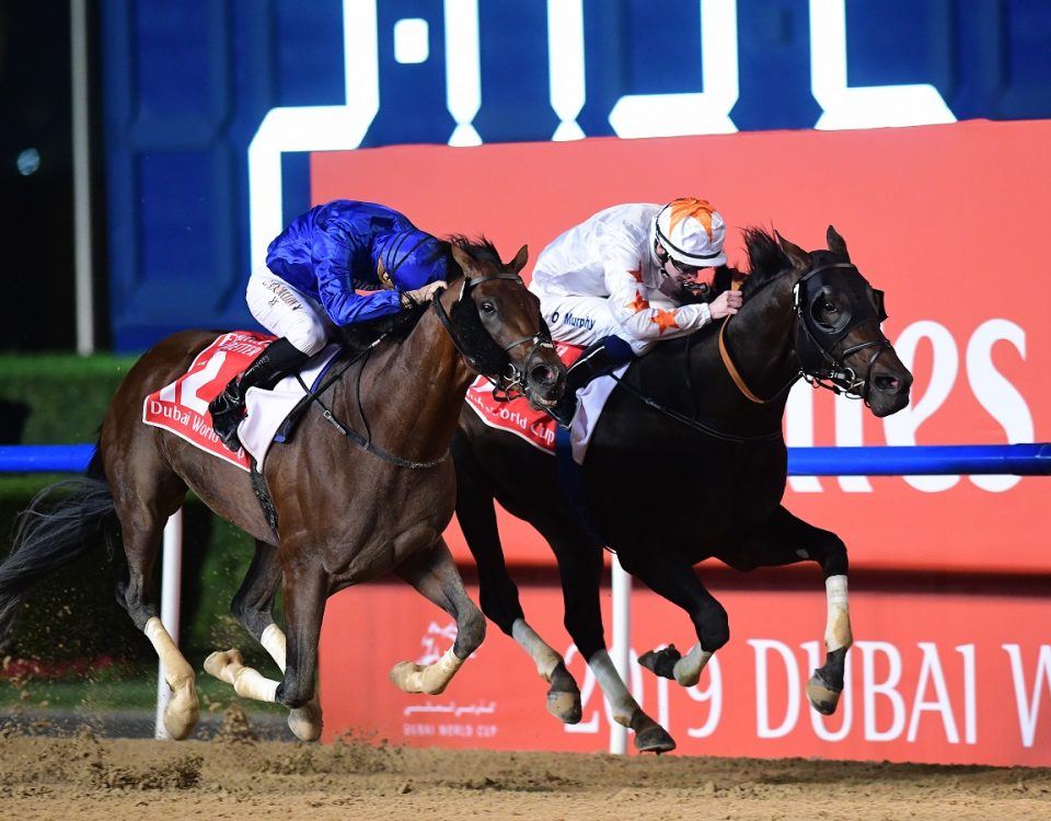 Thunder Snow - Dubai World Cup 19 - Michael King