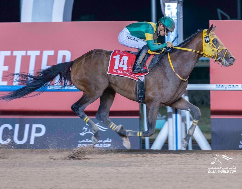 Ushba Tesoro - Dubai World Cup - Dubai Racing Club