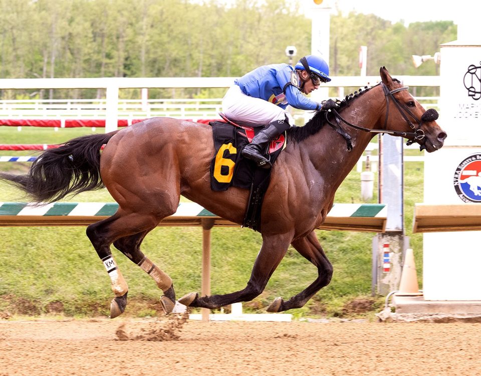 Classier - Henry S Clark Stakes - Foto Jim McCue - Maryalnd Jockey Club