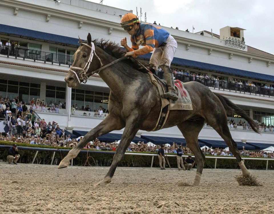 Forte - Florida Derby - Barbara D. Livingston