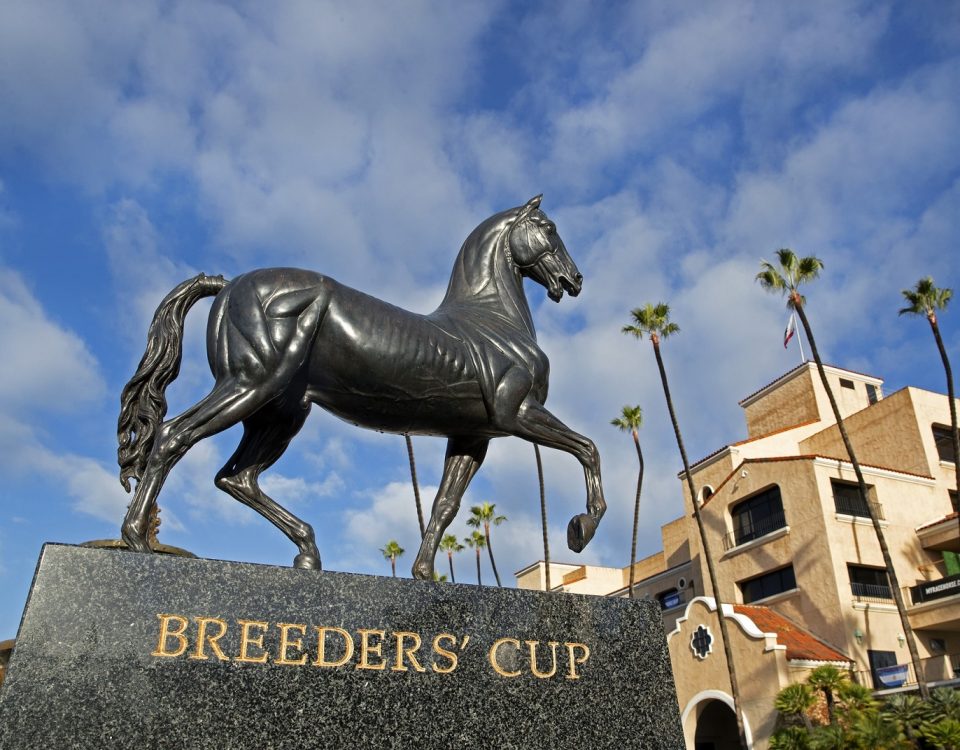 Breeders Cup Trophy - Barbara Livingston - DRF