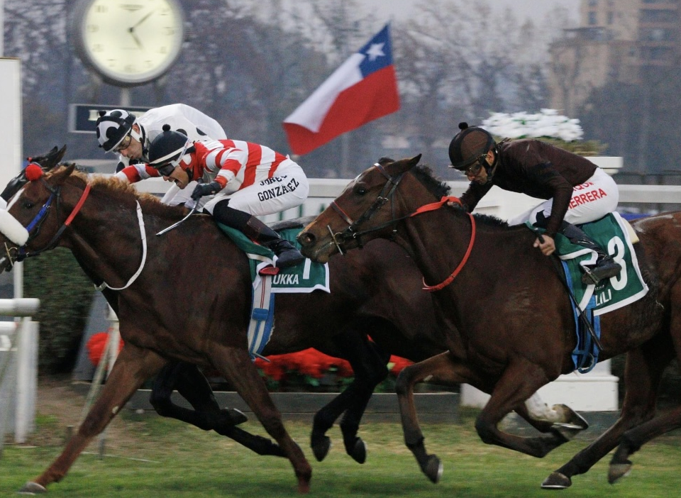 Gran Premio Club Hipico Falabella - Lukka - Photo credit to Ricardo Laubreaux