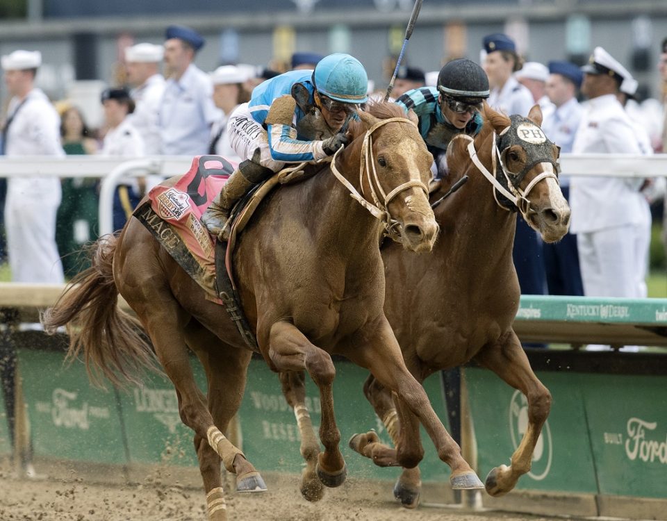 Mage - Kentucky Derby - Barbara D. Livingston