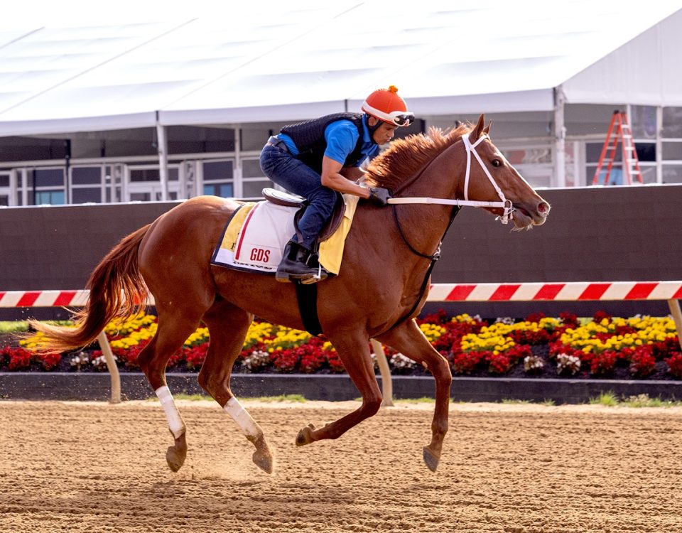 Mage - Pimlico Race Course - Jim McCue