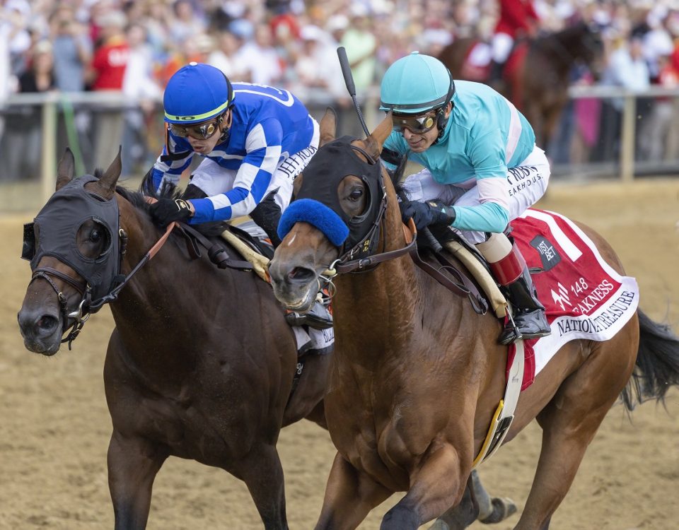 National Treasure - Preakness Stakes - Debra A. Roma