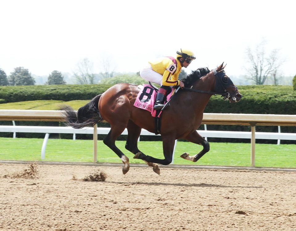 American Rascal - Finish - Keeneland - Coady Photography