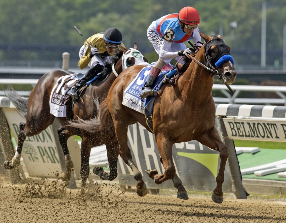 Arabian Lion - Woody Stephens G1 - Foto Barbara Livingston - DRF