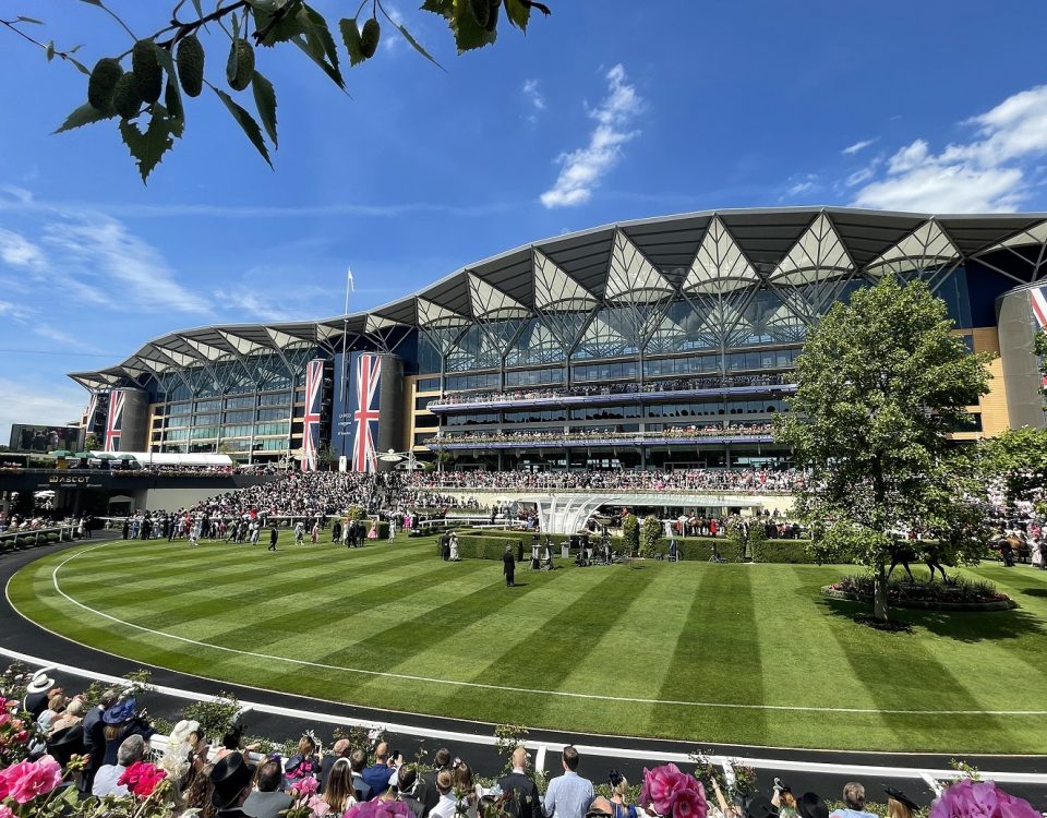 Ascot Racecourse - Emily Shields Photo