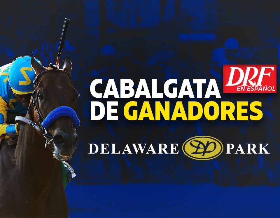 Cabalgata de Ganadores - Delaware Park