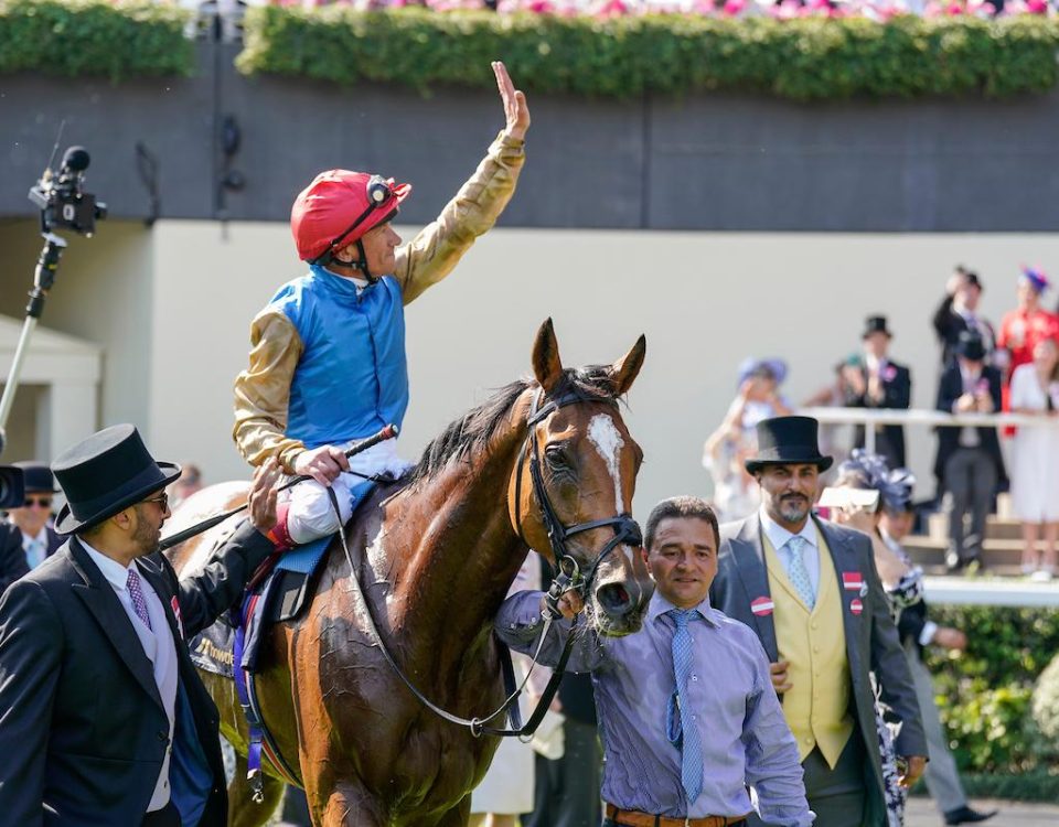 Courage Mon Ami and Dettori after winning the Gold Cup - credit Megan Ridgwell.