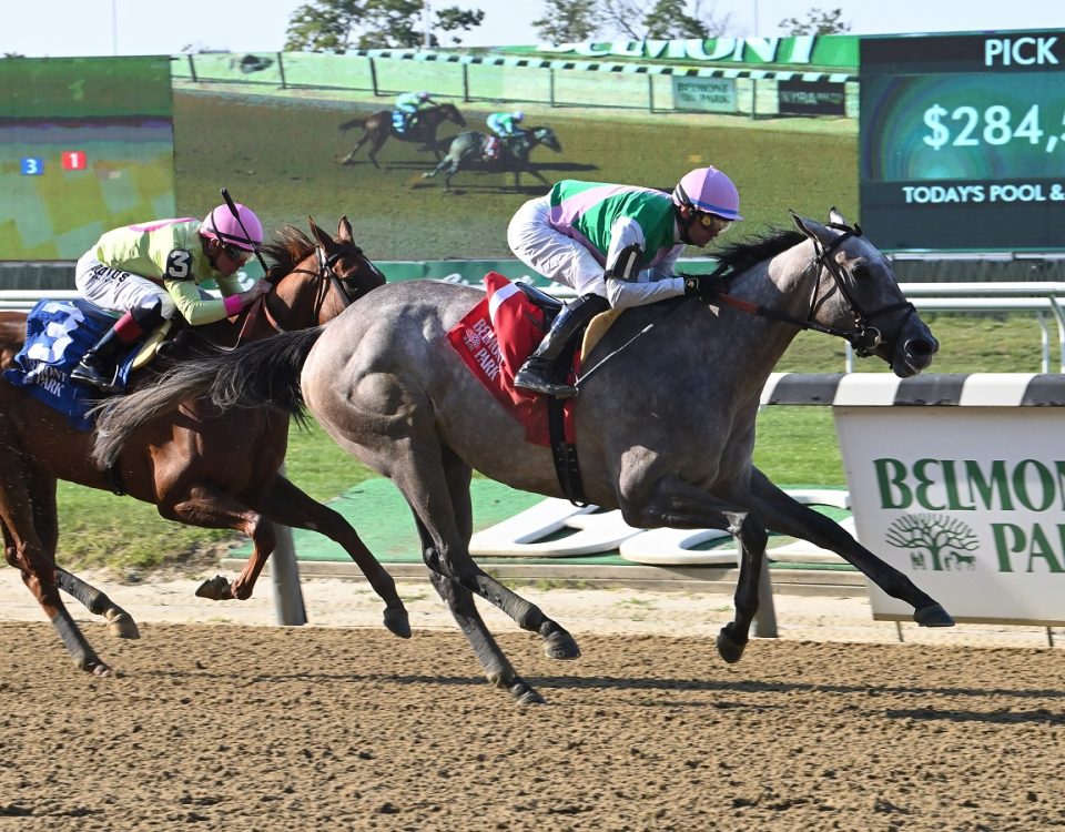 Fireline - Belmont Park - Coglianese Photo