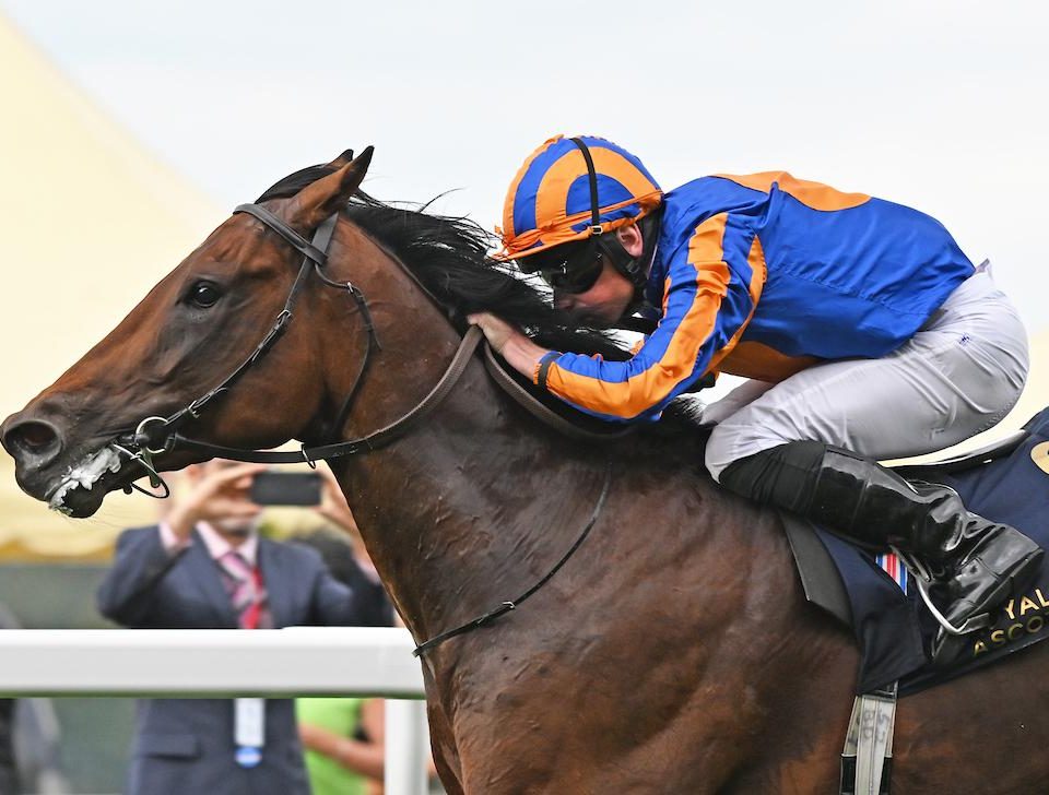 Paddington wins the St James's Palace Stakes - credit Megan Ridgwell