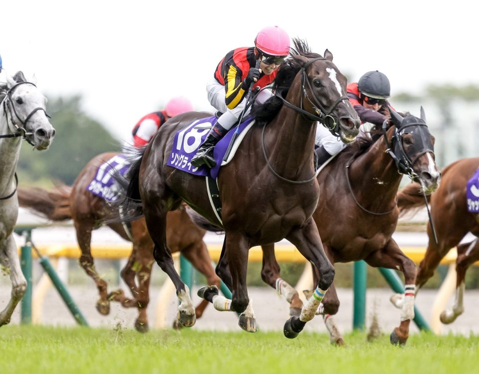 Songline Wins 2023 Yasuda Kinen - Yuki Shimono photo