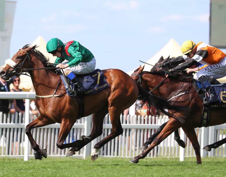 Tahiyra wins the Coronation Stakes -credit Megan Ridgwell