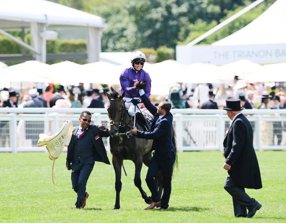 Valiant Force after winning the Norfolk Stakes - credit Megan Ridgwell