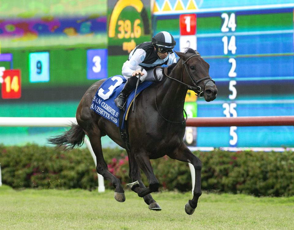 Anisette - San Clemente G2 - Del Mar - Benoit Photo