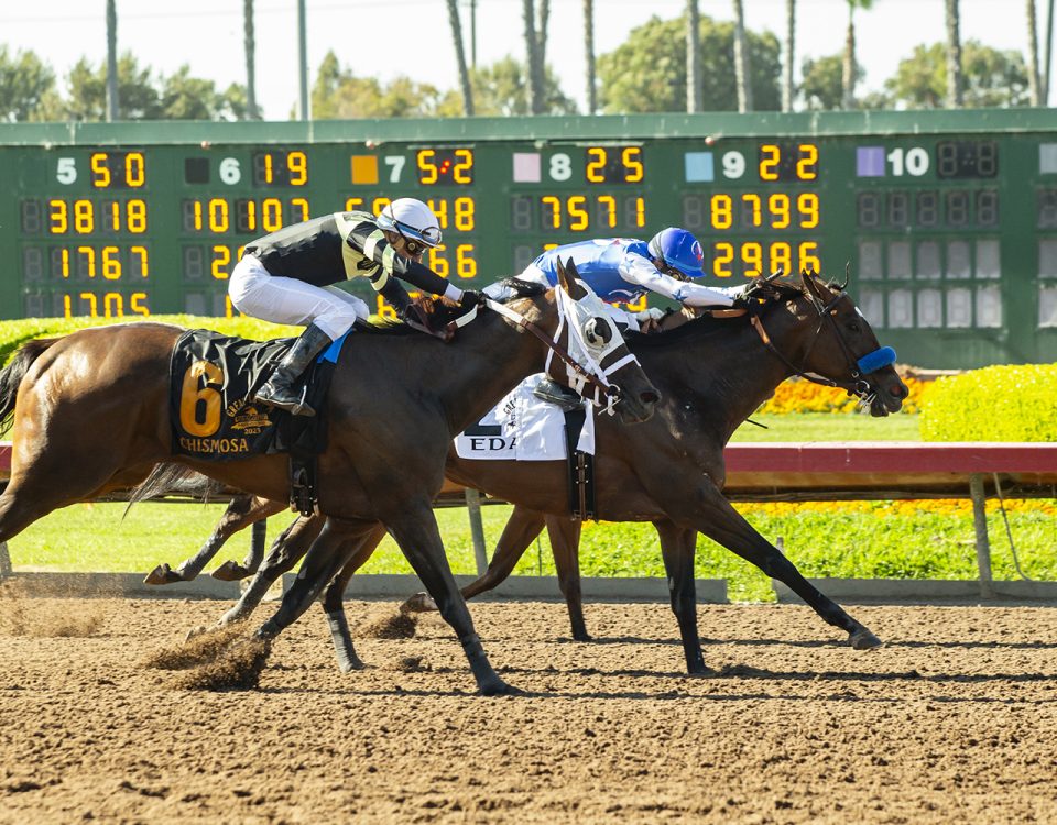 Eda - Great Lady M G2 - Los Alamitos - Benoit Photo