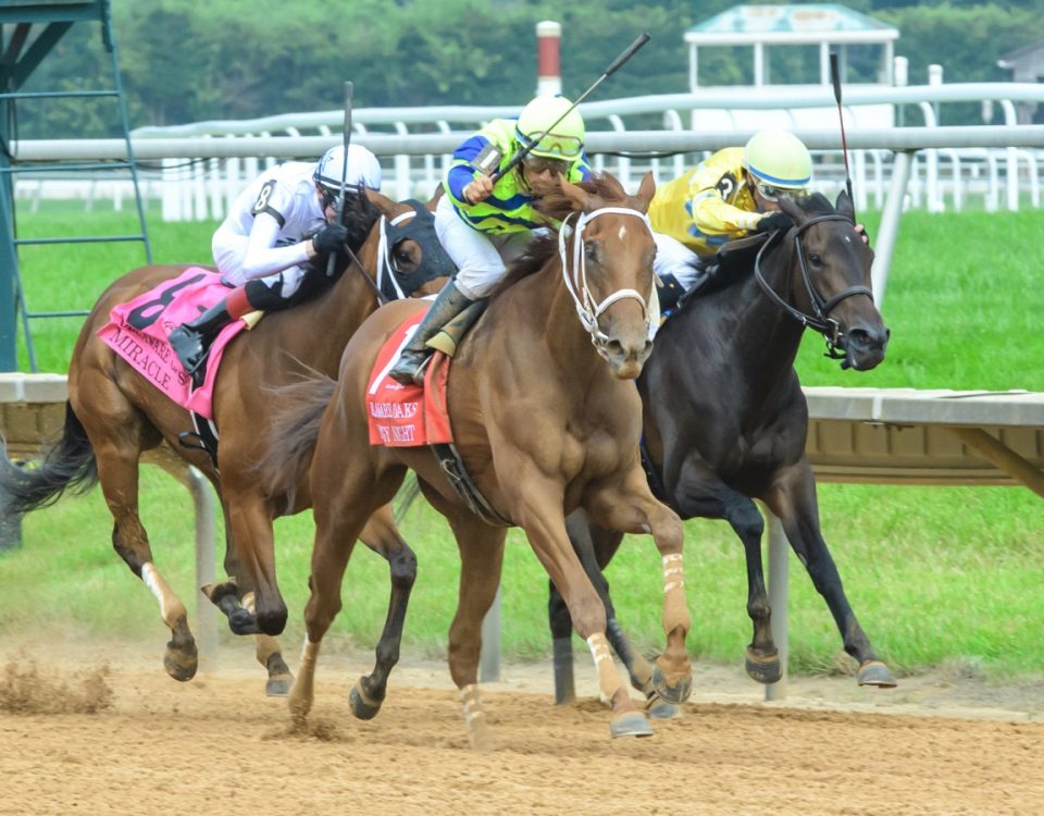 Foggy Night - Delaware Oaks - Hoofprints Inc. Photo