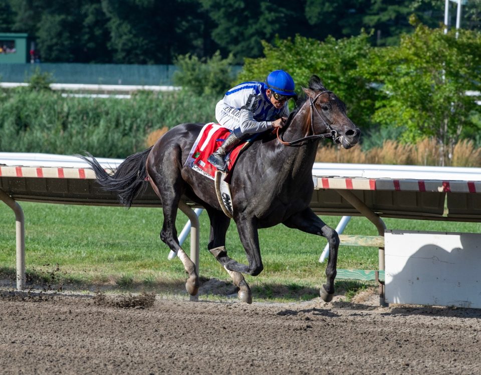 Geaux Rocket Ride - Haskell S. - Bill Denver-EQUI-PHOTO