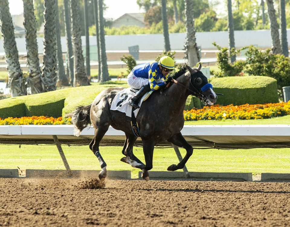 Reincarnate - Los Al Derby - Benoit Photo