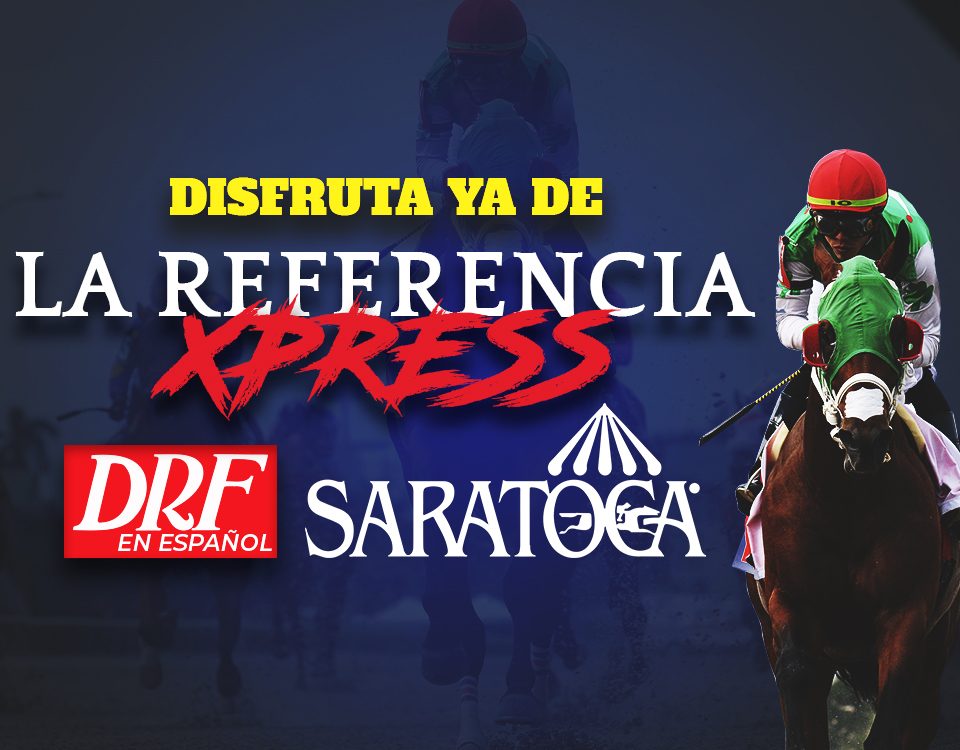 Saratoga La Referencia Xpress