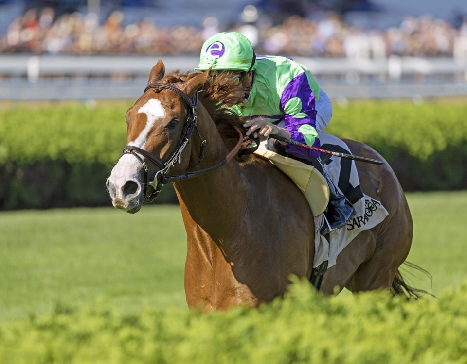 Carl Spackler - NMRHOF Stakes - Debra A. Roma