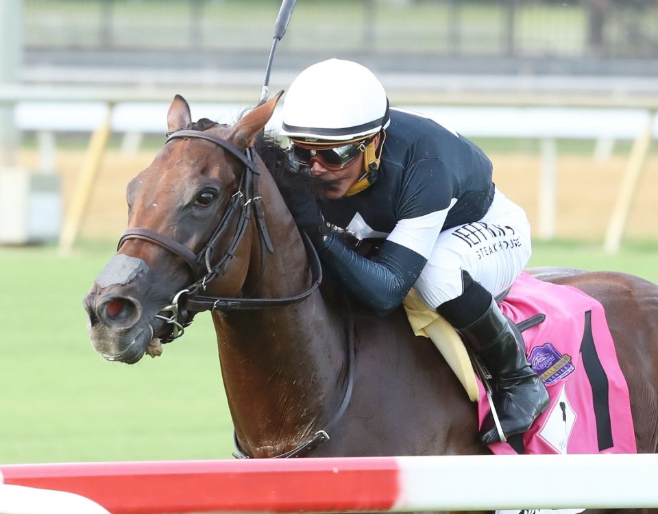 Fev Rover - Beverly D. Stakes - Coady Photography