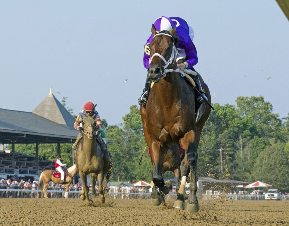 New York Thunder - Debbie Roma - Daily Racing Form